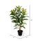 Vickerman 34" Green Myrtle in Pot 125 Lvs Real Tch - TA181434
